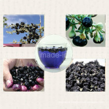 Medlar Barbary Wolfberry Fruit Organic Black Goji Berry